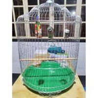 COMBO 2 LỒNG CHIM SÁO, CƯỠNG, NHỒNG BẰNG KẼM XI BẠC( lồng tự ráp) ĐƯỜNG KÍNH 45X60