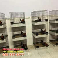 COMBO 2 LỒNG GÀ GHÉP + KHAY TÔN.