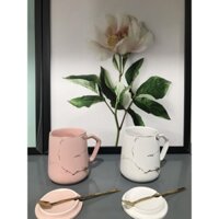 Combo 2 Ly Uống Trà, Uống Nước Văn phòng Tiện Lợi