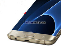 combo 2 Miếng Dán Bảo Vệ Phím Home Cho Samsung Galaxy S6,S6 Edge,S6 Edge Plus, S7, S7 Edge, Note 5