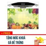 COMBO 2 Miếng dán trang trí tường nhà bếp nhà vệ sinh kích thước 60x90cm - Tặng 1 móc gắn chìa khoá gà đẻ trứng ngộ nghĩnh - SDX247