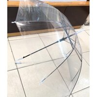 Combo 2 Ô dù trong suốt màu trắng [CỰC HOT]