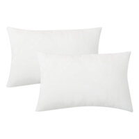 Combo 2 Ruột Gối Gòn Bi Cao Cấp Drap24 40 x 60 cm