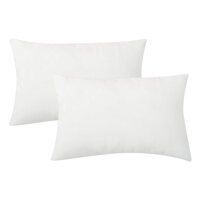 Combo 2 Ruột Gối Gòn Bi Cao Cấp Drap24 40 x 60 cm