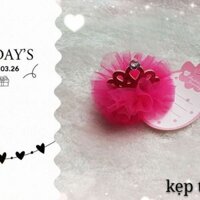 Combo 2 sản phẩm bờm vương miện trắng và kẹp tóc vương miện hồng