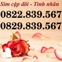 COMBO 2 SIM SỐ ĐẸP VINAPHONE PHONG THỦY, SIM CẶP ĐÔI