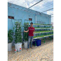 combo 2 Trụ trồng rau khí canh