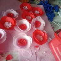 Combo 20 bông hồng  gấm