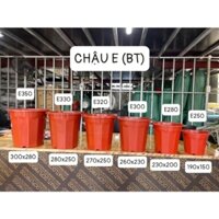 Combo 20 chậu nhựa trồng cây E280