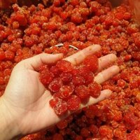 combo 20  chùm ruột chanh muối 500g thơm ngọt đặc biệt