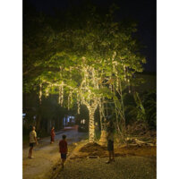 Combo 20 dây led đúc F5 kèm 1 nguồn ngoài trời 400w 12V