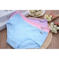 Combo 20 Quần lót nữ cotton hàng xuất mỹ pulo