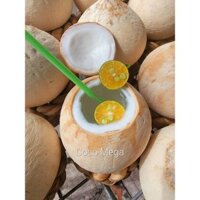COMBO 20 trái Dừa xiêm xanh gọt trọc COCOMEGA size 500g đến 600g siêu ngọt nước - GIAO HỎA TỐC TPHCM