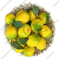 Combo 20 Trái Giả Trái Chanh (5X7 cm) mô hình Việt Nam công nghệ Thái Lan GIỐNG THẬT 99%- Dùng trang trí