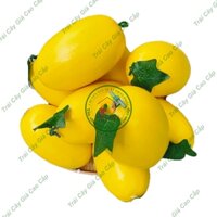 Combo 20 Trái Giả Trái Dưa Vàng Dài lớn (15x25 cm) mô hình Việt Nam công nghệ Thái Lan GIỐNG THẬT 99%- Dùng trang trí