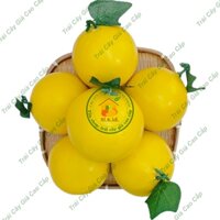 Combo 20 Trái Giả Trái Dưa Vàng Tròn Lớn (14*14 cm) mô hình Việt Nam công nghệ Thái Lan GIỐNG THẬT 99%- Dùng trang trí