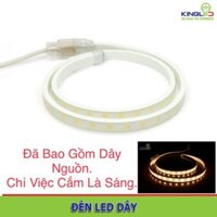 Combo 20m dây Led 3014- 1 hàng bóng kèm theo giắc nguồn.