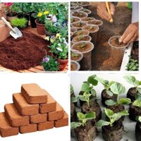combo 20v nén sơ dừa hữu cơ 500g , tặng 3 túi hạt giống f1