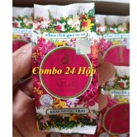 Combo 24 Hộp Kem Arche Thái - 3g/1