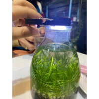 Combo 25 chai/bình/lọ thuỷ tinh 650ml (tặng thêm 2 chai) chuyên nuôi cá betta, cắm hoa, decor,…