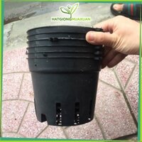 Combo 25 Chậu nhựa trồng Lan phi 21 hàng đẹp