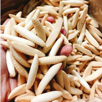 COMBO 2kg BÁNH CON SÂU / BÁNH MEN