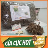 Combo 2Kg Cây Hàn The 366LZ CHẤT LƯỢNG