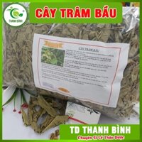 Combo 2Kg Cây Trâm Bầu Tự Nhiên 100% - Thảo Dược Uy Tín