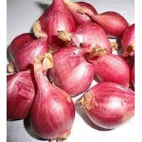 Combo (2kg) Hành Tím Lý Sơn Loại 1