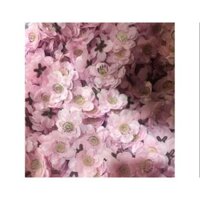 Combo 2kg hoa đào + kẽm