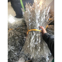 COMBO 2KG Miến Dong Điện Biên Sợi To Tặng Chẳm Chéo