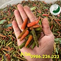 Combo 2Kg Tiêu Lốp Tươi - Tiêu Lốt Tươi LOPECO Loại Trái Xanh và đỏ Giá Chỉ 289k