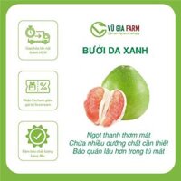 COMBO 3 - 4 Trái Bưởi Lão Da Xanh Vũ Gia Farm (3.6-4kg) - Đặc sản Nam Bộ, bưởi ăn ngon, ngọt mọng nước có hậu chua