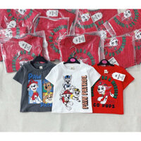 Combo 3 áo chó cứu hộ paw patrol cho bé