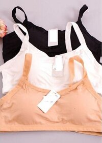 Combo 3 Áo lót , áo ngực , bra 3 dây ngang cotton 3 màu Trắng, Đen, Da  không gọng có mút ngực thấm hút mồ hôi, quyến rũ AB01 - 3 màu khác nhau