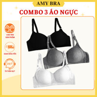 Combo 3 Áo Ngực Nữ Không Gọng Cotton Mịn, Set 3 Áo Lót Nữ Nâng Ngực Mút Mỏng Siêu Xinh AMYBRA A838
