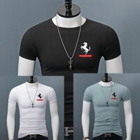 Combo 3 Áo thun nam form ôm, thun lạnh TheLynh LOGONGUA 5 199