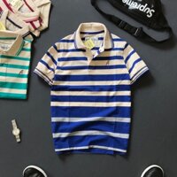 Combo 3 áo thun nam