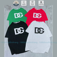 COMBO 3 ÁO thun nữ chất cotton co giãn 4 chiều mềm mịn