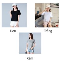 COMBO 3 áo thun nữ trơn vài dày mềm mịn thoáng mát đen trắng xám