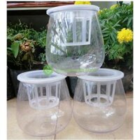ComBo 3 Bình Nhựa Trồng Cây Thủy Sinh, Kích Thước 11x11x13Cm