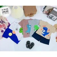 Combo 3 bộ cotton mặc mùa hè cho bé hàng loại 1