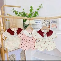 combo 3 bộ quần áo cộc tay