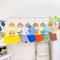 combo 3 bộ thun lạnh cho bé