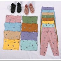 Combo 3 bộ thun lạnh cho bé