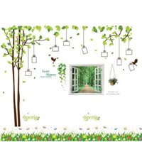 combo 3 bức decal dán tường cây  khung ảnh kết hợp khung cửa sổ và chân tường