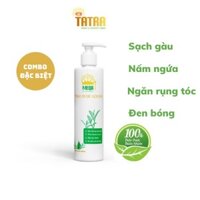 [Combo 3 Chai ] Dầu gội thảo dược thiên nhiên [Hương HOA HỒNG + Hương Cà phê + Hương MATCHA CAM KẾT 100% THIÊN NHIÊN]