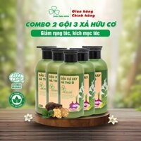 Combo 3 chai dầu xả, 2 chai dầu gội thảo dược Mộc Thảo Nhiên cao cấp, ngăn ngừa gàu, làm sạch sâu