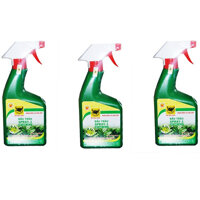 Combo 3 chai phân bon la pha săn cho Hoa lan va cây cảnh dạng xịt Đầu Trâu Spray 1 500mlchai