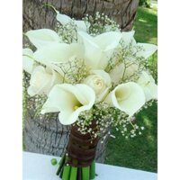 Combo 3 CỦ GIỐNG HOA RUM  CỰC ĐẸP